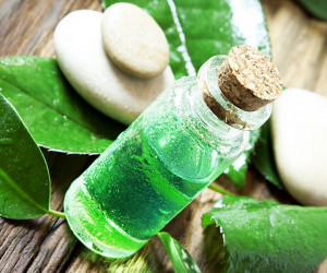 13 خاصیت معجزه آسا روغن چای برای سلامتی