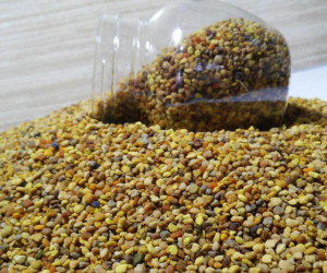 ۱۸ خاصیت دارویی و درمانی گرده گل