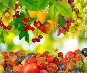 ۱۰ نشانه و تعبیر دیدن باغ میوه در خواب