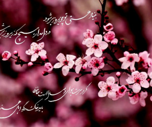 ۱۰ تا از زیباترین و ناب ترین شعرهای بهاری از شاعران بزرگ