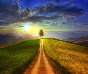 شعر چه روزها که برای تو منتظر ماندم از حکیم جوزجانی