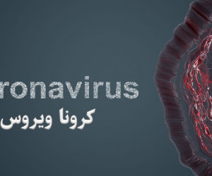 ویروس کرونا: همه آنچه که باید از کرونا بدانید !