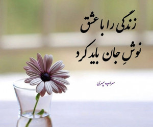 جملات ناب درباره زندگی با متن های انرژی بخش و زیبا