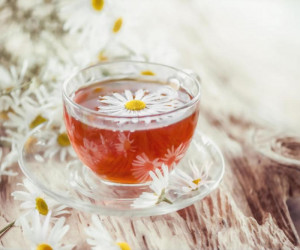 طرح توجیهی تولید چای کیسه ای با منشأ گیاهان دارویی