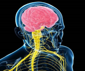 خطر کرونا ویروس برای افراد مبتلا به بیماری های عصبی