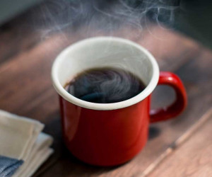دیدن الاغ در فال قهوه چه تعبیری دارد ؟