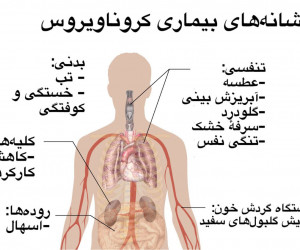 علائم و نشانه های کرونا به چه ترتیبی ظاهر می شوند ؟