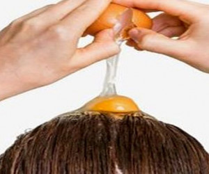 تاثیر زرده، سفیده و تخم مرغ کامل بر مو + روش مصرف هرکدام