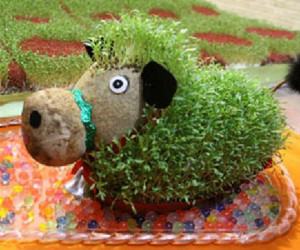 سبزه عید به شکل گاو