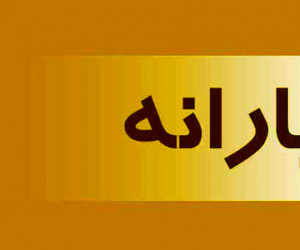 یارانه سال جدید