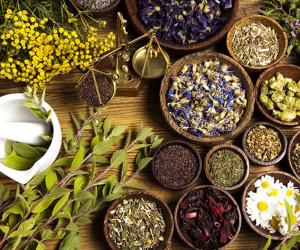 ۱۰ گیاه دارویی برای تقویت سیستم ایمنی بدن