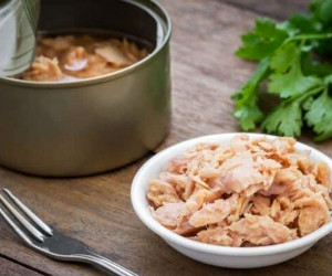 استفاده از پنبه در کنسرو ماهی