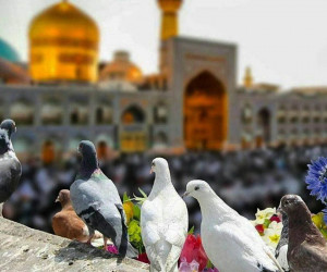 مسافرت به مشهد در عید نوروز ممنوع شد !