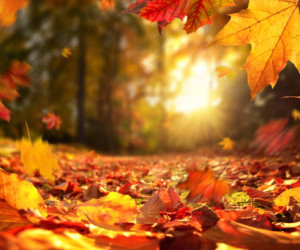 شعر برای آذر ماه | زیباترین و احساسی ترین اشعار در مورد ماه آذر