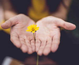 روانشناسی کینه | علت کینه ورزی و راه های درمان آن