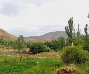 معرفی شهرستان تربت حیدریه و جاذبه های گردشگری آن