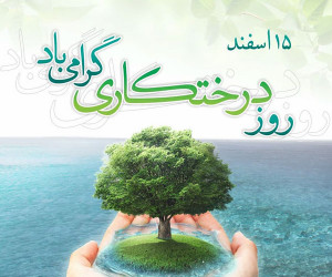 15 عکس نوشته پرمفهوم و زیبا ویژه روز درختکاری