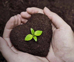 20 عکس پروفایل زیبا و تاثیرگذار ویژه روز درختکاری
