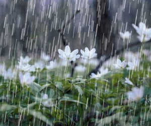 شدت بارندگی ها برای روز شنبه!