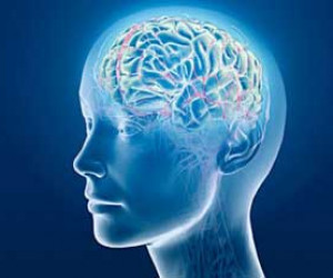 آیا حافظه تان ضعیف است؟