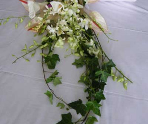 تزیینات زیبای خانه عروس