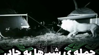 حمله شیرها به چادر توریست ها