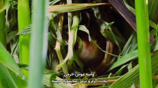 مستند سریالی دنیای کوچک فصل دوم قسمت ۱ زیرنویس فارسی