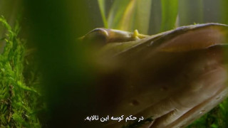 مستند سریالی دنیای کوچک فصل دوم قسمت ۳ زیرنویس فارسی