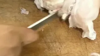 آموزش خرد کردن مرغ کامل