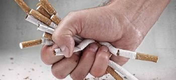فواید پودر گیاهی ترک اعتیاد سوتاکس چینی