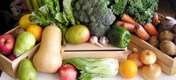 مواد غذایی حاوی استروژن : استروژن در چه غذاهایی وجود دارد ؟