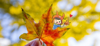 ۱۷ شعر کودکانه با موضوع پاییز + آهنگ کودکانه