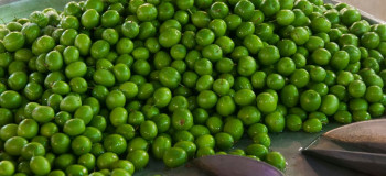 میوه های نوبرانه : آلوچه سبز در اصفهان ۱۶۴ هزار تومان