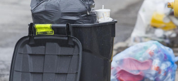 روشهای از بین بردن بوی بد سطل زباله
