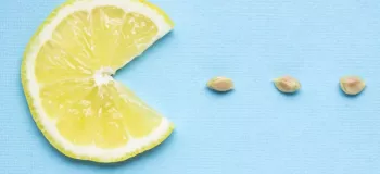 خاصیت بی نظیر هسته لیمو ترش برای سلامتی !