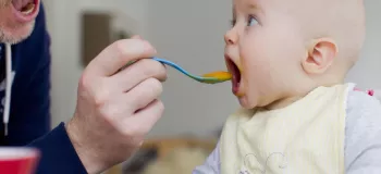 از چند ماهگی به نوزاد زردآلو بدهیم ؟