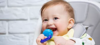 پستانک جای میوه (توری میوه خوری) برای نوزادان چه کاربردی دارد ؟