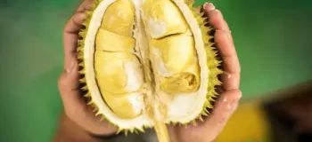 با خواص شگفت انگیز میوه دوریان (خارگیل) آشنا شوید