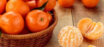جالب ترین خواص نارنگی یافا که از آن بی اطلاع هستید!