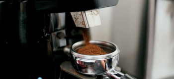 تفسیر کامل قورباغه (وزغ) در فال قهوه