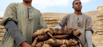 کشف بزرگترین گورستان حیوانات مومیایی در مصر