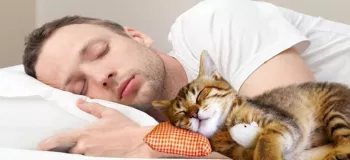 شما مثل کدام حیوان می خوابید؟
