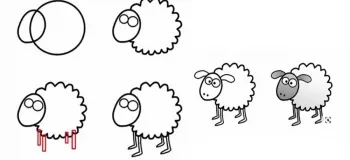 نقاشی گوسفند : آموزش مرحله به مرحله کشیدن گوسفند پشمالو