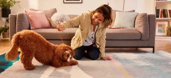 بهترین روش های سرگرم کردن سگ ها در خانه