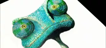 آموزش قدم به قدم نقاشی آقای رنگو