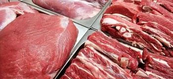 گوشت قرمز در شرف ارزان شدن !؟