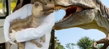 دایناسورها به زمین بازگشتند ؟! ( تصاویری عجیب و واقعی) !!