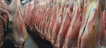 قیمت گوشت گوسفندی کاهش یافت+ نرخ جدید
