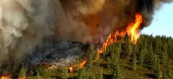 علت آتش سوزی جنگل تنکابن چه بود؟ (+جزئیات جدید)