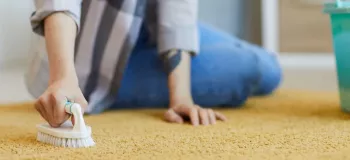 ۴ روش حرفه ای جهت شستشو لکه آبغوره از فرش
